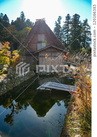 白川宏 秋葉 120166383