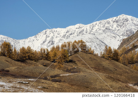 Foothills in late autumn and early winter. Altai 120166418
