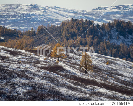 Foothills in late autumn and early winter. Foothills in late autumn and early winter. 120166419