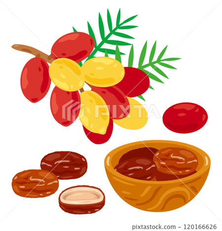 Date branch with fruit and set of dates in a wooden bowl 120166626