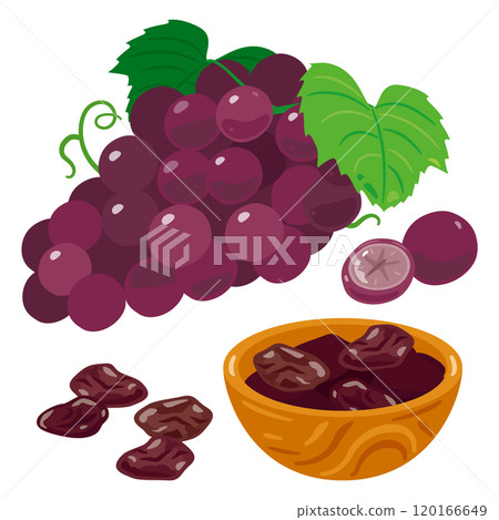 木碗裡的葡萄和葡萄乾組 120166649
