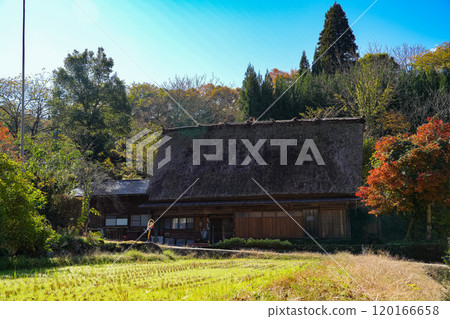 Shirakawago autumn leaves 120166658