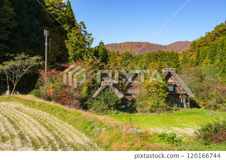 Shirakawago秋葉 120166744