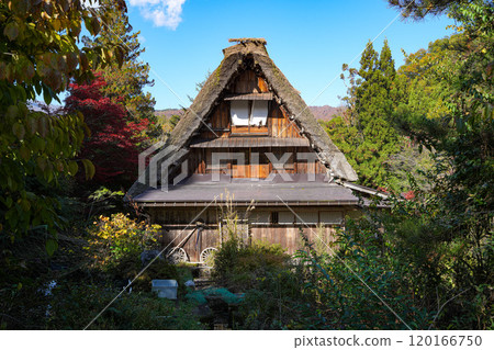 Shirakawago autumn leaves 120166750