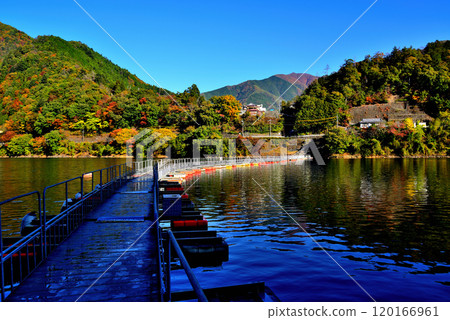 奧多摩湖麥山浮橋秋葉 鼓罐橋風景 奧多摩湖麥山浮橋秋葉 鼓罐橋風景 120166961