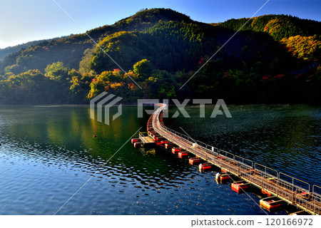 Autumn leaves on Lake Okutama, Mugiyama Floating Bridge, and Drum Can Bridge Autumn leaves on Lake Okutama, Mugiyama Floating Bridge, and Drum Can Bridge 120166972
