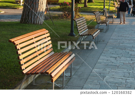 Bench in park with pine trees on sea coast of Italy, Liguria. Tourism and recreation. Nature and health.  120168382