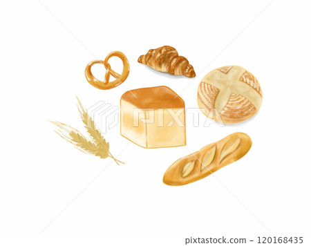 小麥過敏圖像、小麥和麵包插圖 120168435