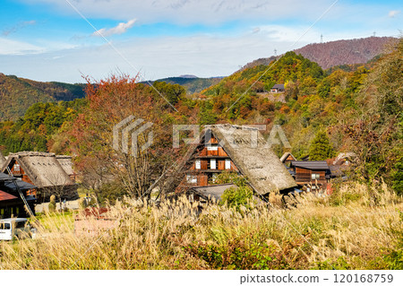 Shirakawago秋葉 120168759