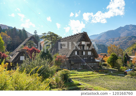 Shirakawago秋葉 Shirakawago秋葉 120168760