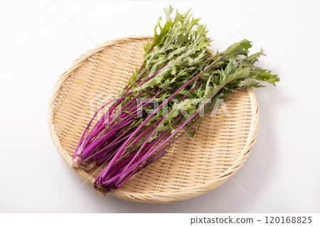 [產地：福島縣福島市]沙拉水菜（紅星） 120168825