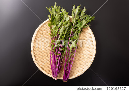 [產地：福島縣福島市]沙拉水菜（紅星） 120168827