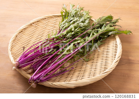 [產地：福島縣福島市]沙拉水菜（紅星） 120168831