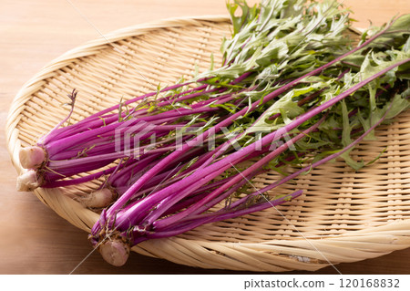 [產地：福島縣福島市]沙拉水菜（紅星） 120168832