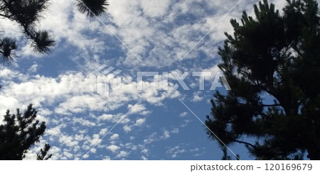 稻毛海濱公園的藍天白雲 稻毛海濱公園的藍天白雲 120169679