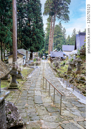 Approach to Kameoka Monjudo (vertical) Approach to Kameoka Monjudo (vertical) 120170323