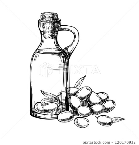 Glass bottle with olive oil. Vector illustration. Carafe with food sauce and olive fruit berries, leaves. Black ink line art hand drawn illustration. Food label, menu, sticker isolated from background 120170932