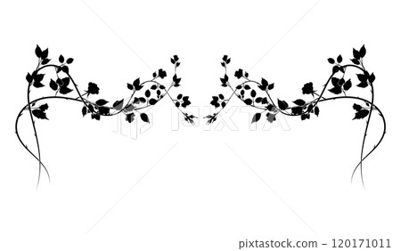 beautiful long element of rose interlacing thorns beautiful long element of rose interlacing thorns 120171011