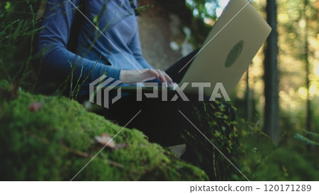 Woman peacefully works on her laptop outdoors in the lush carpathian mountains, finding inspiration and tranquility in the serene setting 120171289
