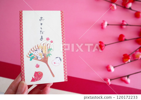 Image of New Year's present 120172233