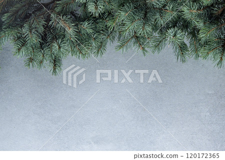 Green tree branches. Christmas natural gray background copy space. Green tree branches. Christmas natural gray background copy space. 120172365