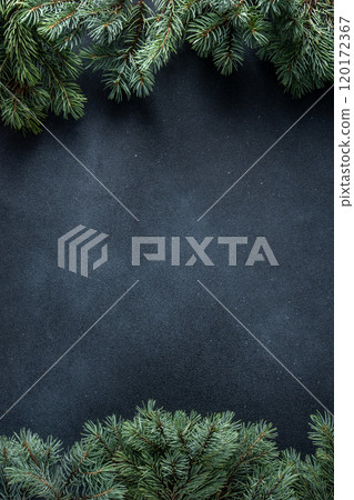 Green tree branches. Christmas natural background copy space. 120172367