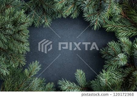 Green tree branches. Christmas natural background copy space. 120172368