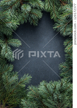 Green tree branches. Christmas natural background copy space. Green tree branches. Christmas natural background copy space. 120172377