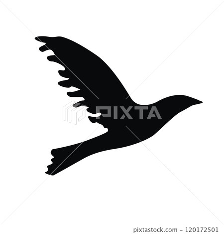 Hand drawn flying bird silhouette hand painted with ink brush Hand drawn flying bird silhouette hand painted with ink brush 120172501