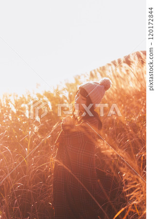 一個女人被夕陽染上的潘帕斯草包圍 120172844