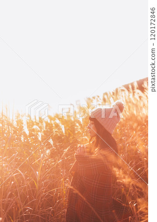 A woman surrounded by silver grass dyed in the sunset 120172846