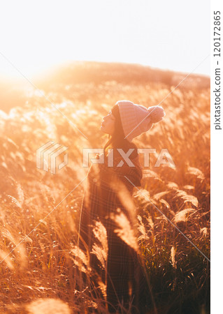 A woman surrounded by silver grass dyed in the sunset A woman surrounded by silver grass dyed in the sunset 120172865