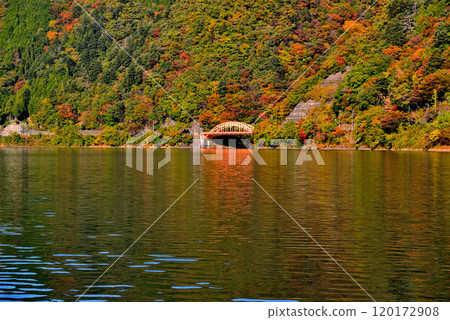 Autumn leaves on Lake Okutama, Mugiyama Floating Bridge, and the view from the Drum Can Bridge Autumn leaves on Lake Okutama, Mugiyama Floating Bridge, and the view from the Drum Can Bridge 120172908