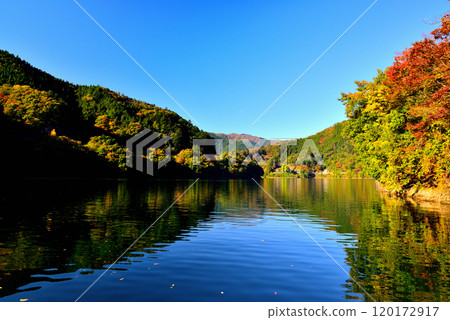 Autumn leaves on Lake Okutama, Mugiyama Floating Bridge, and the view from the Drum Can Bridge 120172917