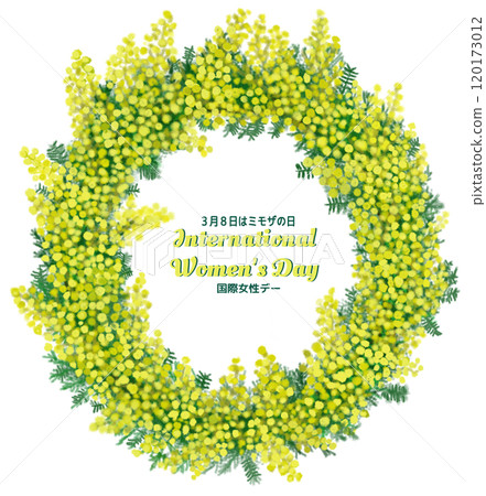 Mimosa Day 120173012