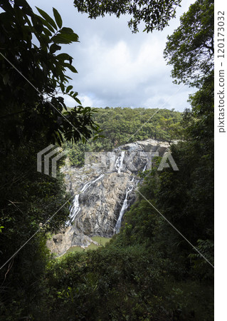 Barron Falls in Kuranda Barron Falls in Kuranda 120173032