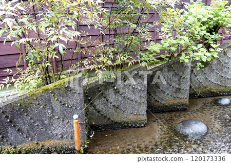 Gujo Hachiman Yanaka Water Path Designed decorations and greenery along the path Gujo Hachiman Yanaka Water Path Designed decorations and greenery along the path 120173336