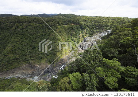 Barron Falls in Kuranda Barron Falls in Kuranda 120173611