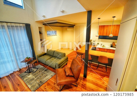 時尚生活的寵物生活設計師的房子 120173985