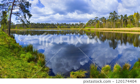 Mastbos Natural Reserve, Breda, Netherlands 120174404