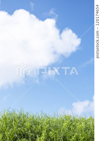 夏草和藍天 120174654
