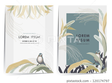 Vector illustration of frame set of a Silver Grass Field with Little Bird Vector illustration of frame set of a Silver Grass Field with Little Bird 120174797