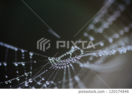 Waterdrop Necklace Waterdrop Necklace 120174846