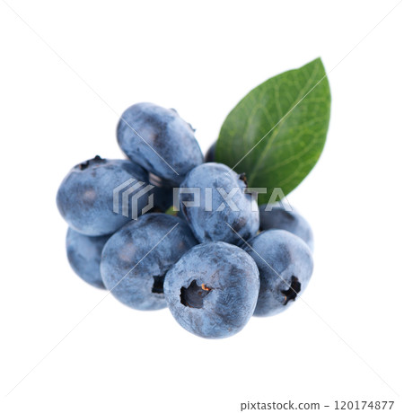 Fresh blueberry with green leaves, isolated on white background. Bilberry or whortleberry berries. Clipping path. Fresh blueberry with green leaves, isolated on white background. Bilberry or whortleberry berries. Clipping path. 120174877