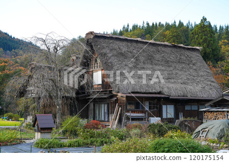 Shirakawago autumn leaves Shirakawago autumn leaves 120175154