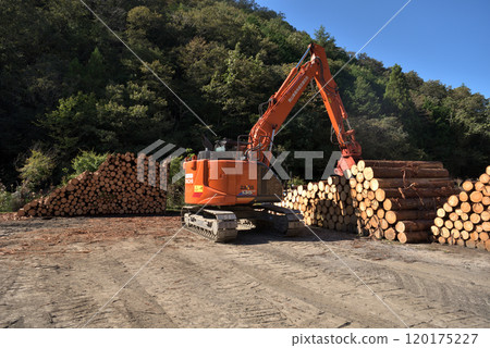 Lumber yard in the mountains, Okayama Prefecture 120175227