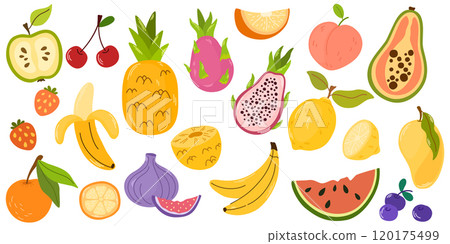 2449_fruit_set 2449_fruit_set 120175499