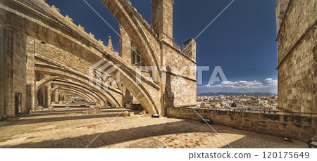Palma Cathedral, Spain 120175649