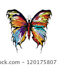Dark butterfly design, isolated insect, Multicoloured pattern, butterfly concept 120175807