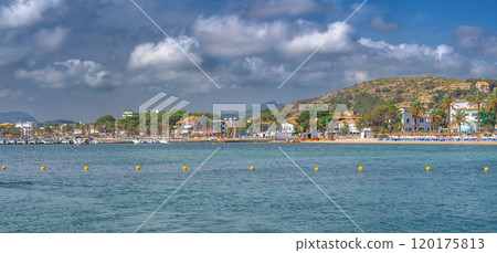 Beech of Puerto de Pollensa, Spain Beech of Puerto de Pollensa, Spain 120175813